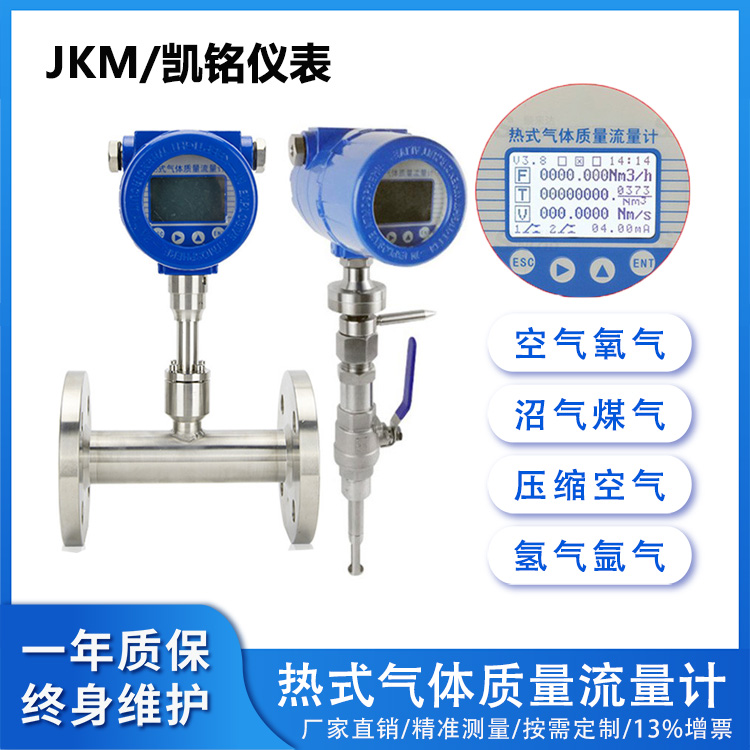 防爆熱式氣體質量流量計